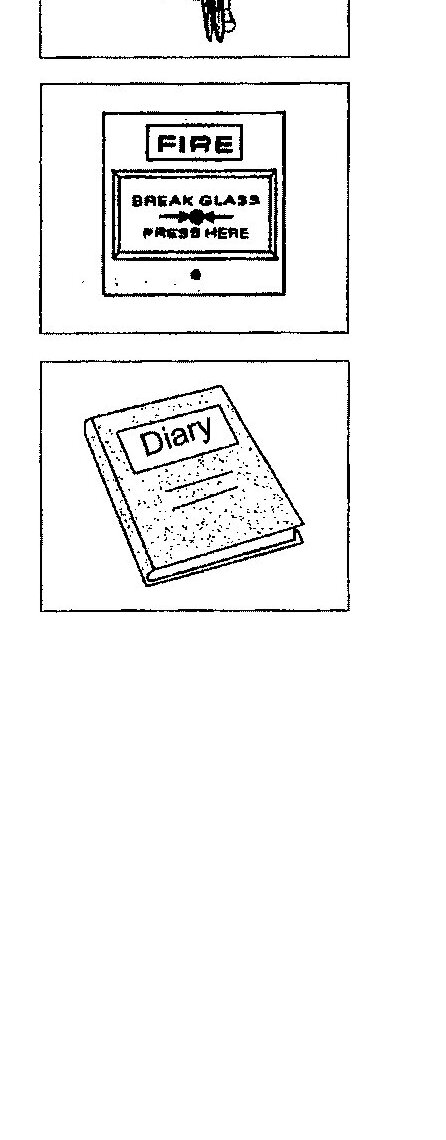 Three pictures provided as prompts: (1) A person standing on a bicycle with arms outstretched, performing a stunt; (2) A fire alarm box with 'BREAK GLASS' and 'PRESS HERE' instructions; (3) A diary book
