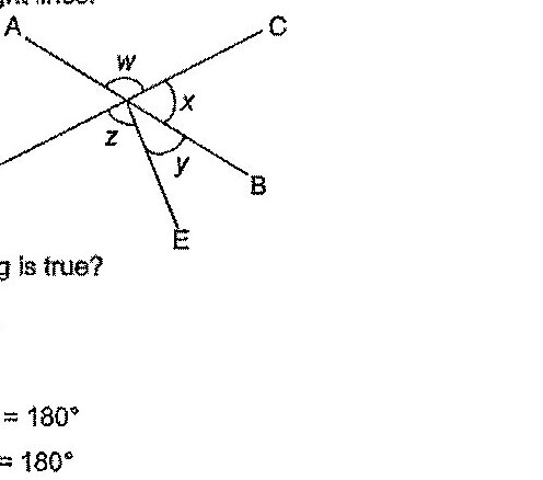 A diagram showing two straight lines AB and CD intersecting at a point. Multiple angles are formed and labeled: w, x, y, z. Point A is at upper left, C is at upper right, B is at lower right, D is at lower left, and E is at the bottom. The angles w, x, y, z are marked around the intersection point.