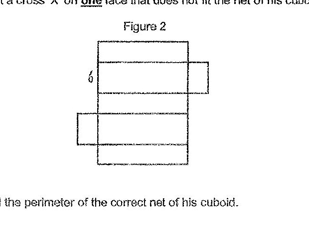 Figure 2 shows a net of a cuboid laid out flat with multiple rectangular faces. The net appears to show faces of dimensions related to 20 cm, 6 cm, and 4 cm.