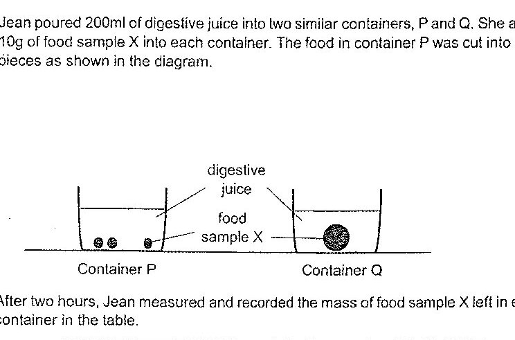 Two similar containers labeled P and Q each contain digestive juice. Container P has food sample X cut into several small pieces at the bottom. Container Q has one larger whole piece of food sample X at the bottom. Arrows label the liquid as 'digestive juice' and the solid as 'food sample X'.