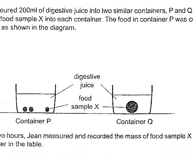Two similar containers labeled P and Q each contain digestive juice. Container P has food sample X cut into several small pieces at the bottom. Container Q has one larger whole piece of food sample X at the bottom. Arrows label the liquid as 'digestive juice' and the solid as 'food sample X'.
