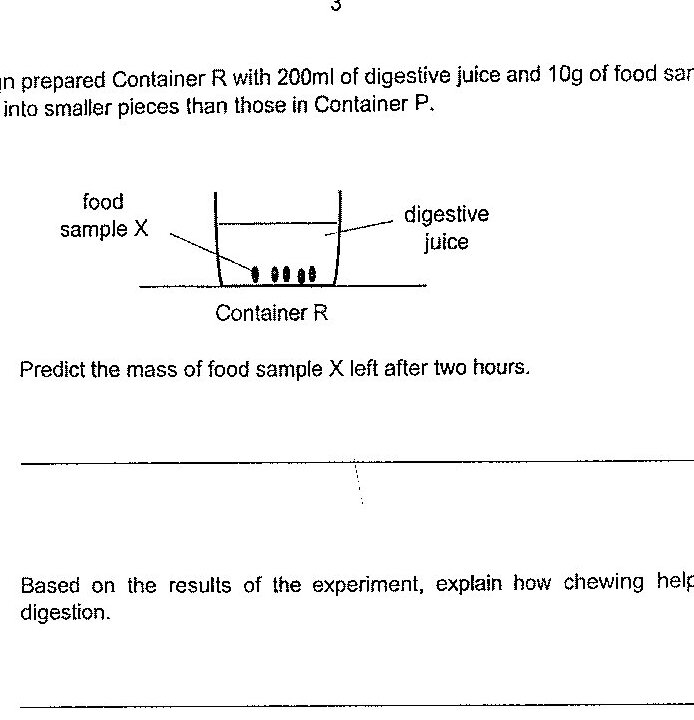 A diagram of Container R, an open container partly filled with digestive juice. At the bottom are several small pieces labeled food sample X. The text states that Container R contains 200 ml of digestive juice and 10 g of food sample X cut into smaller pieces than those in Container P.