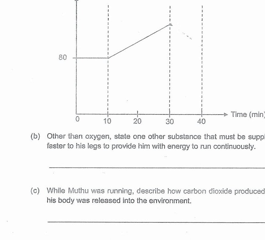 Diagram for question 29c