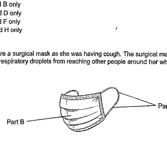 A drawing of a surgical mask. Part A points to the ear loops/straps on the right side of the mask. Part B points to the main front mask material/body of the mask.