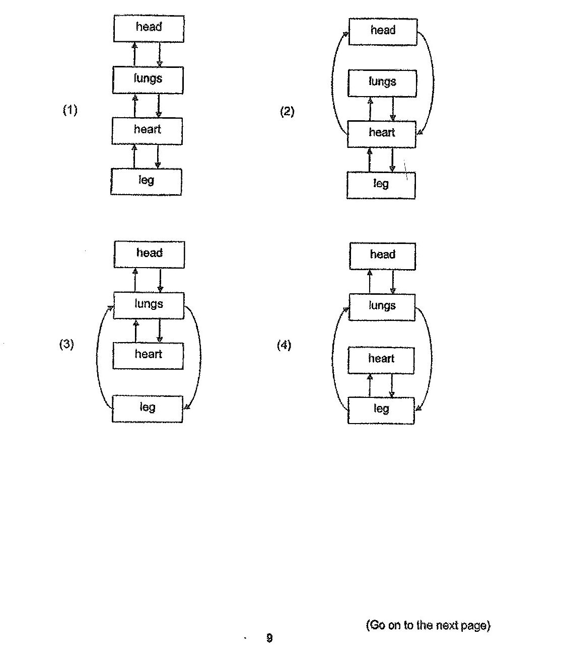 Four labelled flow diagrams are shown, each using boxes labelled head, lungs, heart, and leg with arrows between them. Diagram (1): boxes arranged vertically from top to bottom as head, lungs, heart, leg, with two-way vertical arrows between each adjacent pair. Diagram (2): head at top, lungs below it, heart below lungs, leg at bottom; two-way arrows between lungs and heart, and between heart and leg; additionally, large curved arrows connect heart and head directly in both directions around the sides. Diagram (3): head at top, lungs below, heart below lungs, leg at bottom; two-way arrows between head and lungs, and between lungs and heart; additionally, large curved arrows connect lungs and leg directly in both directions around the sides. Diagram (4): head at top, lungs below, heart below lungs, leg at bottom; two-way arrows between head and lungs, and between heart and leg; additionally, large curved arrows connect lungs and leg directly in both directions around the sides.