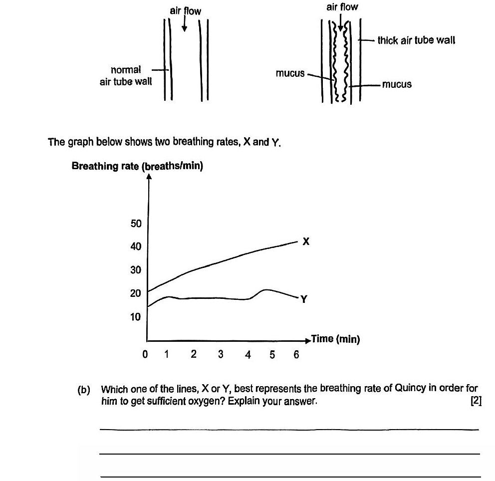 Diagram for question 32a