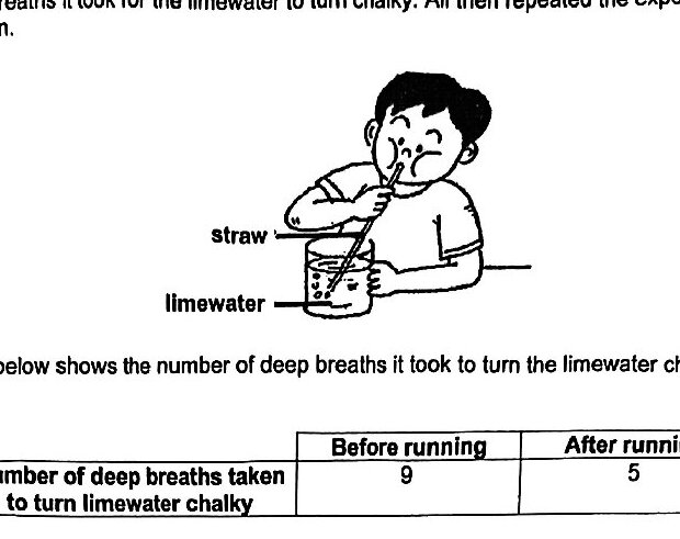 A diagram showing a boy breathing through a straw into a beaker containing limewater. The beaker is labeled with 'straw' at the top and 'limewater' at the bottom.