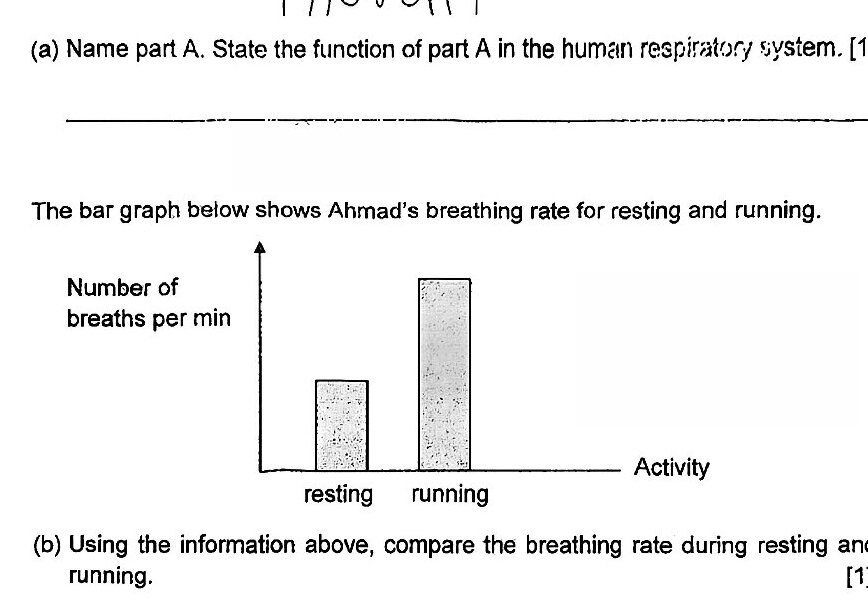 Bar graph showing Ahmad's breathing rate for resting and running. The y-axis shows 'Number of breaths per min' and the x-axis shows 'Activity' with two bars: one for 'resting' (approximately 15-16 breaths per min) and one for 'running' (approximately 40-45 breaths per min).