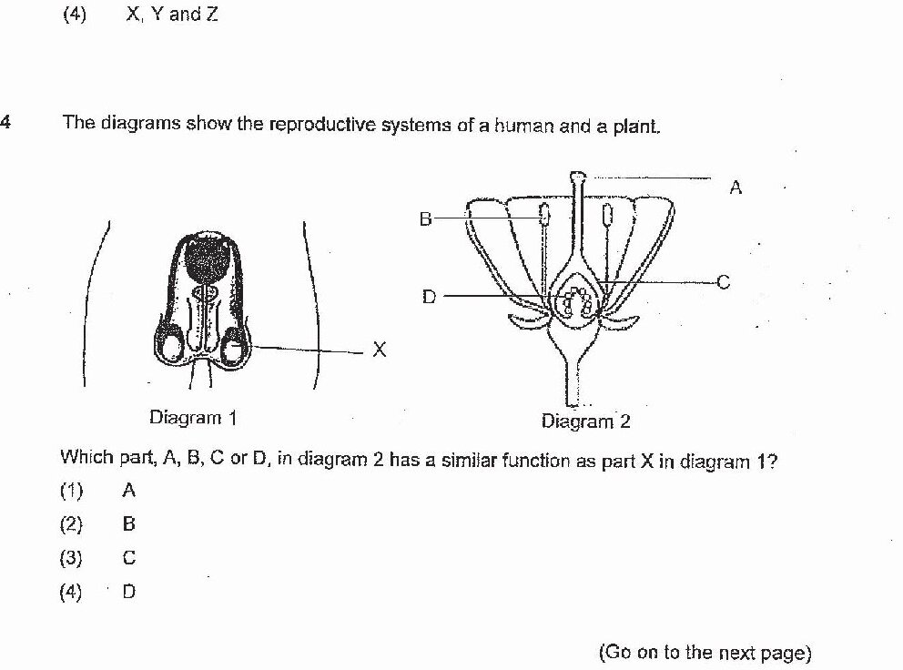Diagram 1 shows a human reproductive system (appears to be ovaries/testes) labeled with X. Diagram 2 shows a flower cross-section with four labeled parts: A (appears to be the stigma at the top), B (appears to be petals or sepals), C (appears to be inside the ovary), and D (appears to be the ovary chamber itself).