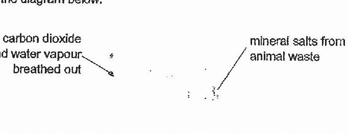 A diagram showing two arrows pointing downward. The left arrow is labeled 'carbon dioxide and water vapour breathed out'. The right arrow is labeled 'mineral salts from animal waste'.