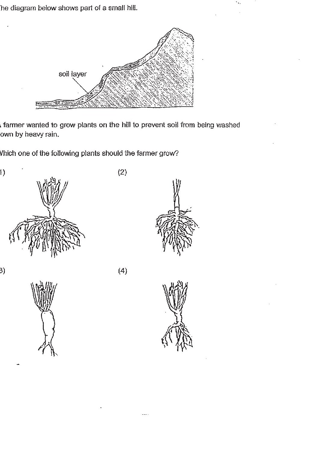 Part of a small hill showing a soil layer on top of rock/substrate. Above this is a cross-section illustration showing four different plant root systems: (1) A plant with wide-spreading fibrous roots, (2) A plant with a single deep tap root, (3) A plant with a thick elongated bulbous root, and (4) A plant with fibrous roots and a bulbous base structure.