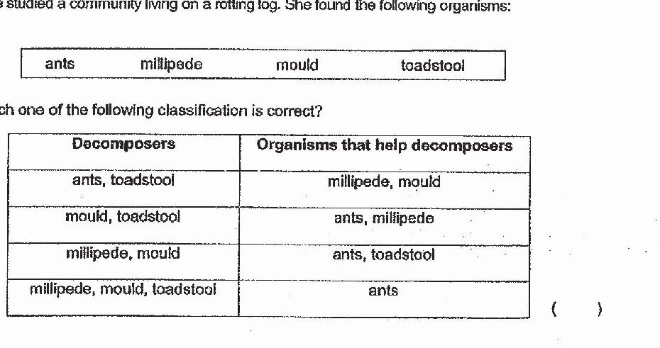 A table with four rows showing different classifications. Each row has two columns: 'Decomposers' and 'Organisms that help decomposers'.