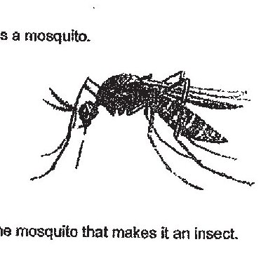 Diagram of a mosquito shown in side view, displaying typical insect features including antennae, legs, wings, and segmented body