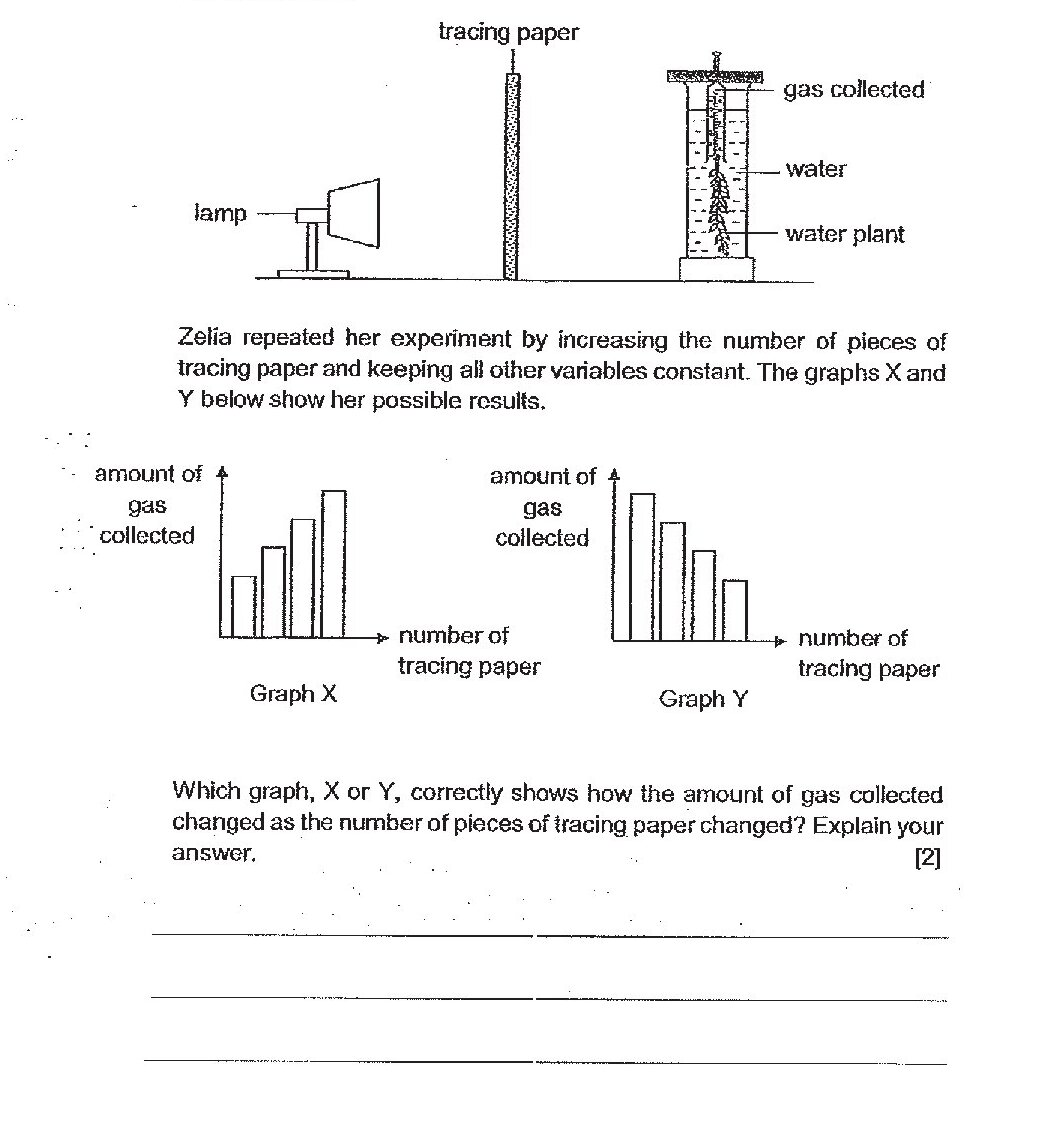 Experimental setup for photosynthesis in a dark room: A lamp on the left directing light toward a vertical piece of tracing paper. Next to the tracing paper is a tube containing water, a water plant, and gas collected at the top. Two graphs are shown: Graph X shows amount of gas collected (y-axis) vs number of tracing paper pieces (x-axis) with bars increasing then plateauing at higher values. Graph Y shows amount of gas collected (y-axis) vs number of tracing paper pieces (x-axis) with bars initially increasing then decreasing at higher values.