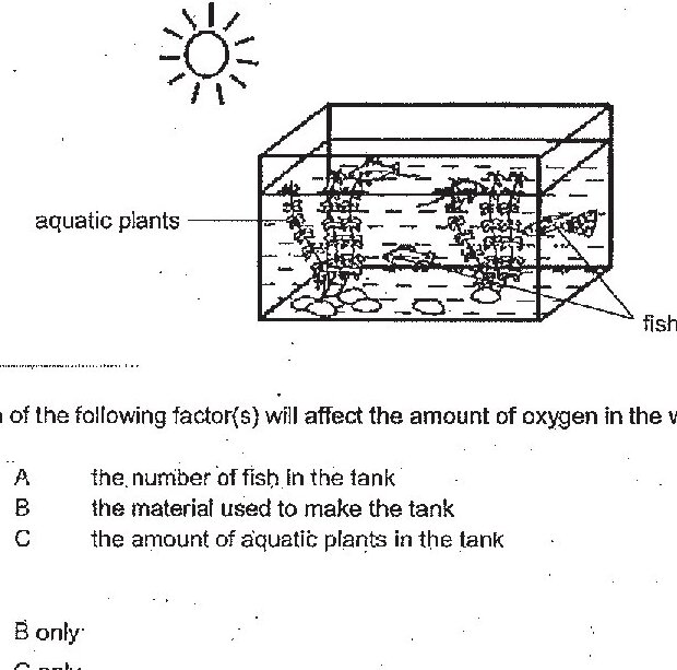 A rectangular tank with aquatic plants inside and fish. The tank is in sunlight (sun symbol shown above). Labels indicate 'aquatic plants' and 'fish' within the tank. The question refers to three factors: A (the number of fish in the tank), B (the material used to make the tank), and C (the amount of aquatic plants in the tank).