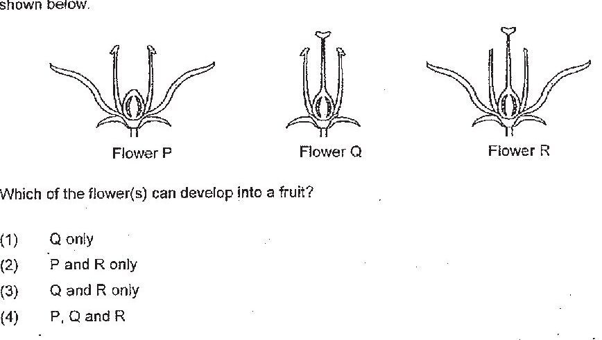 Three flower diagrams labeled Flower P, Flower Q, and Flower R. Each shows a cross-section of a flower with different parts. Flower P shows stamens and sepals with petals removed. Flower Q shows a central structure with stamens intact and prominent. Flower R shows stamens and sepals with petals removed, similar to P.