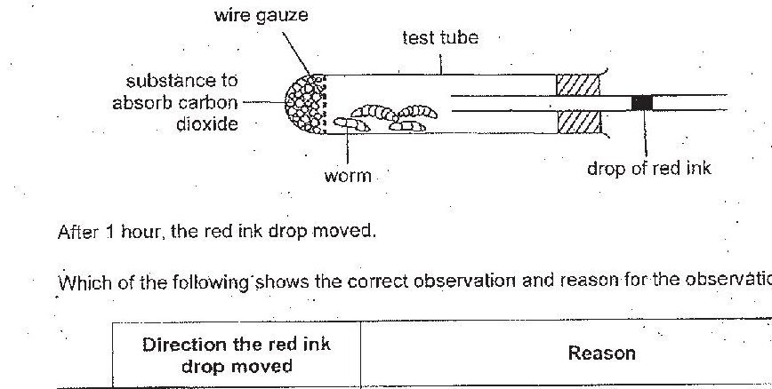 A diagram showing an experimental apparatus consisting of a test tube containing a worm and wire gauze with a substance to absorb carbon dioxide. The test tube is sealed with a drop of red ink at the end to prevent air entry. The setup includes labeled components: wire gauze, substance to absorb carbon dioxide, worm, test tube, and drop of red ink.