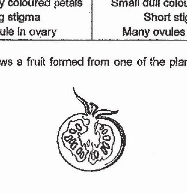 Diagram for question 30a
