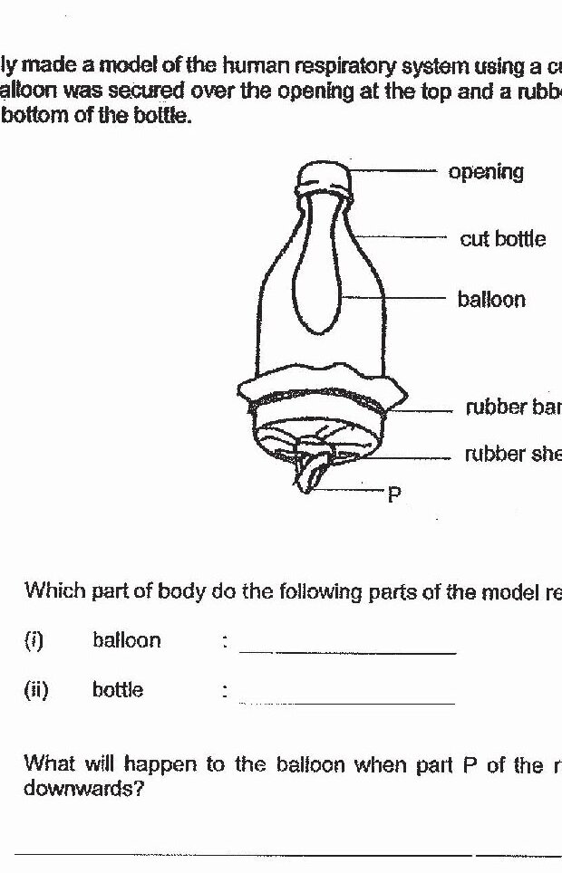 Diagram for question 31a(i)
