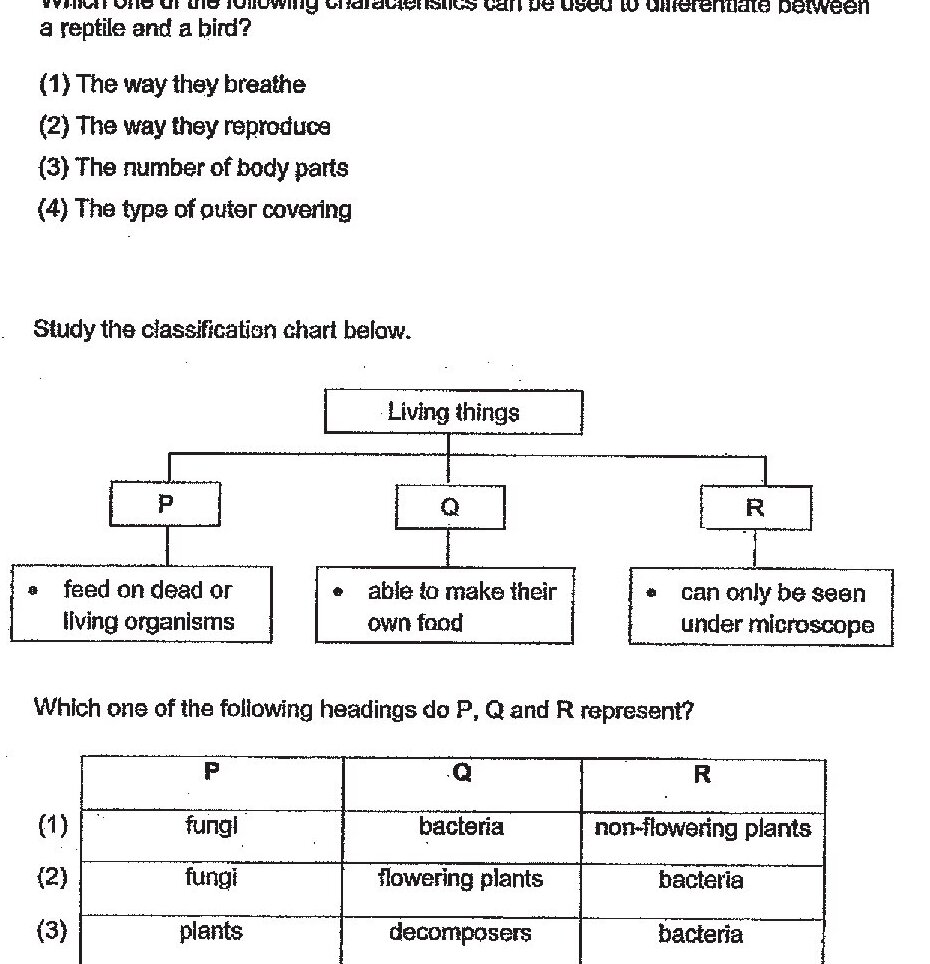 A classification chart showing 'Living things' at the top, branching into three categories P, Q, and R. P: feed on dead or living organisms. Q: able to make their own food. R: can only be seen under microscope. Below the chart is a table showing 4 options with different organism classifications for P, Q, and R.