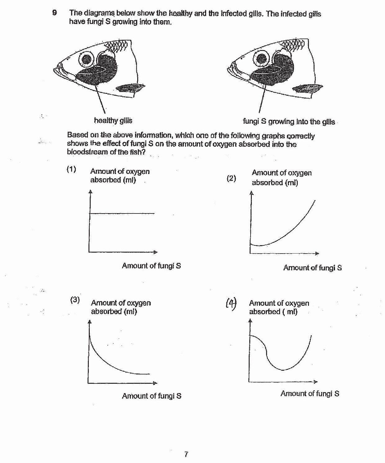 Two side-by-side diagrams of fish heads showing: (Left) Healthy gills - labeled 'healthy gills' with normal gill structure. (Right) Infected gills - labeled 'fungi S growing into the gills' showing the same fish with fungi growth visible in the gill area. Both diagrams show fish in profile with gill arches and filaments visible. Below these are four graphs labeled (1), (2), (3), and (4), each showing different relationship curves between 'Amount of fungi S' (x-axis) and 'Amount of oxygen absorbed (ml)' (y-axis).