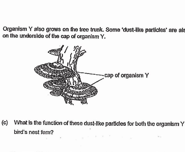 Diagram for question c