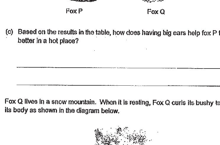 Diagram for question d