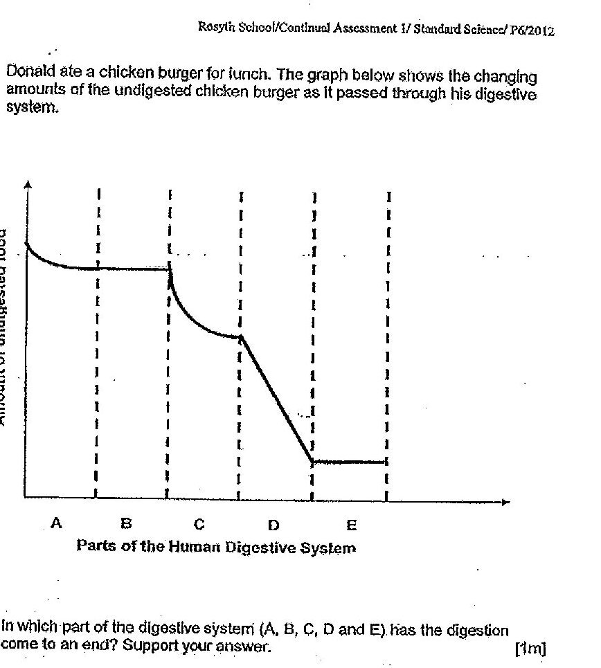 A graph showing the amount of undigested food (y-axis) versus parts of the human digestive system (x-axis: A, B, C, D, E). The curve shows: high amount at A, decreases through B and C, then levels off at a low amount from D through E. Vertical dashed lines mark the boundaries between each section.