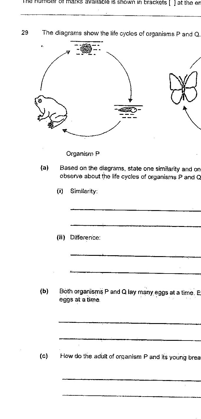 Diagram for question 29c