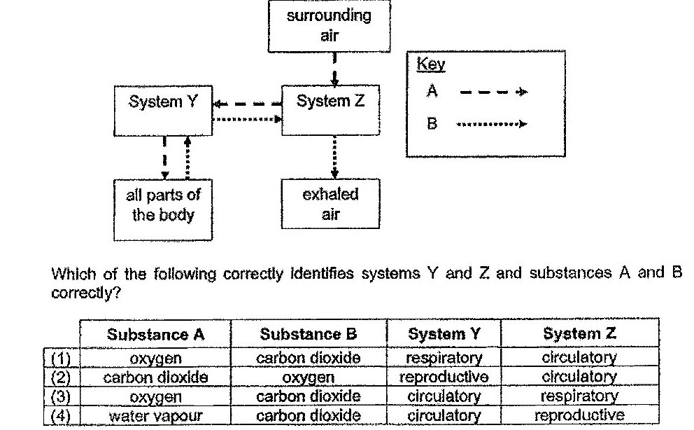 A flow diagram showing the interaction between two systems. 'Surrounding air' at the top flows into 'System Z'. System Y and System Z are connected with a dashed arrow (A) from System Y to System Z and a dotted arrow (B) from System Z to System Y. From System Y, dashed and dotted arrows flow down to 'all parts of the body'. From System Z, dashed and dotted arrows flow down to 'exhaled air'. A key shows: A (dashed arrow) and B (dotted arrow).