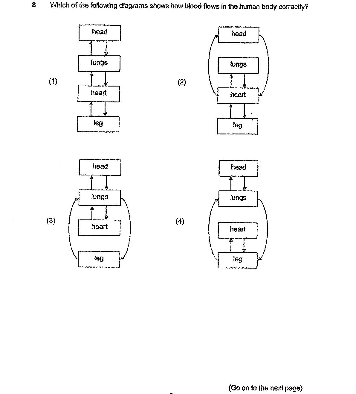 Four flow diagrams labeled (1), (2), (3), and (4) showing blood flow through different organs:
(1) Linear flow: head → lungs → heart → leg with bidirectional arrows between head and lungs
(2) Circular flow with head at top, lungs and heart in middle (with lungs and heart connected by bidirectional arrows), and leg at bottom, with curved arrows connecting heart to head and heart to leg
(3) Circular flow with head at top, lungs and heart in middle (with lungs and heart connected by bidirectional arrows), and leg at bottom, with curved arrows creating a circuit between all organs
(4) Circular flow with head at top, lungs and heart in middle (with lungs and heart connected by bidirectional arrows), and leg at bottom, with curved arrows connecting head to lungs to heart to leg forming a circuit