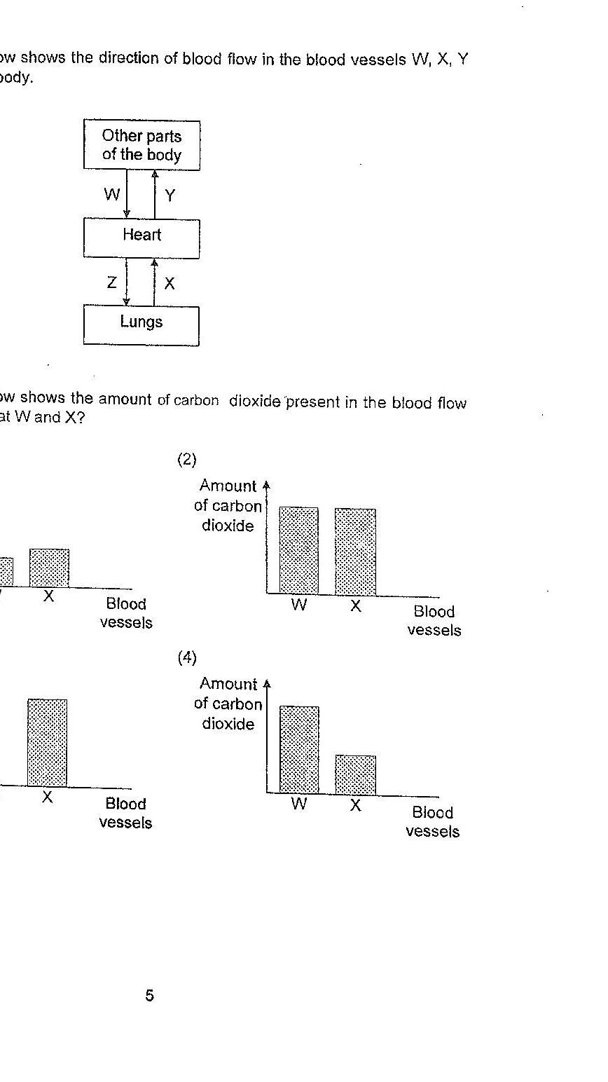 A flow diagram showing the direction of blood flow between body parts and organs. At the top is 'Other parts of the body' box. Below that is the 'Heart' box. At the bottom is the 'Lungs' box. Arrows show: W pointing downward from 'Other parts of the body' to 'Heart', Y pointing upward from 'Heart' to 'Other parts of the body', Z pointing downward from 'Heart' to 'Lungs', and X pointing upward from 'Lungs' to 'Heart'. Below this are four bar graphs labeled (1), (2), (3), and (4), each showing 'Amount of carbon dioxide' on the y-axis and 'Blood vessels' (W and X) on the x-axis. Graph (1) shows W with a moderate bar and X with a slightly higher bar. Graph (2) shows W and X with approximately equal high bars. Graph (3) shows W with no bar and X with a high bar. Graph (4) shows W with a high bar and X with a lower bar.