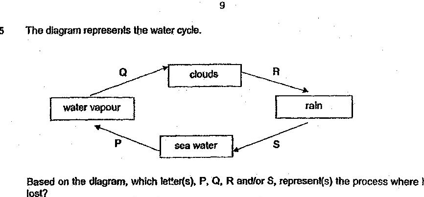 Water cycle diagram showing: sea water box in center, with arrows labeled P (to water vapour box on left), Q (to clouds box on top), R (from clouds to rain box on right), and S (from rain back to sea water). The cycle shows water vapour on the left, clouds at the top, and rain on the right.
