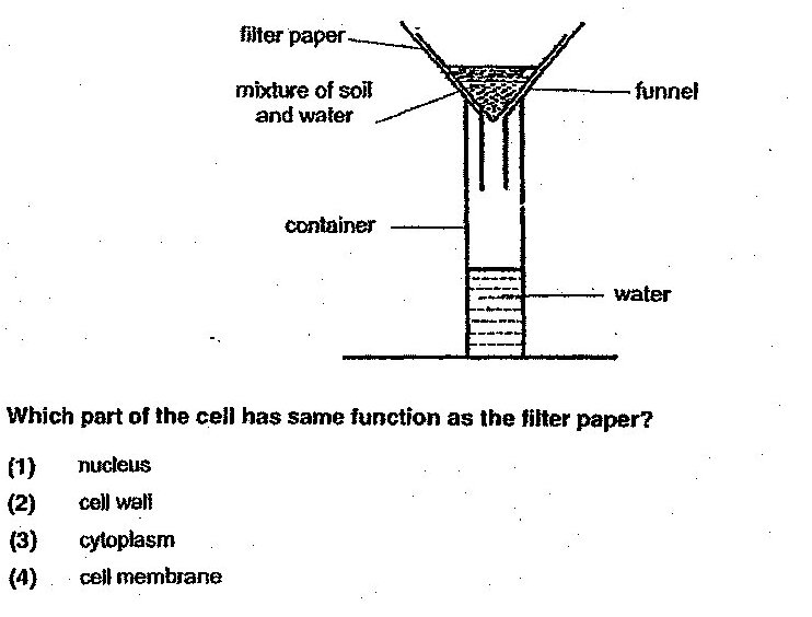 A diagram showing water separation from soil and water mixture using filter paper. The setup consists of: a funnel containing filter paper with a mixture of soil and water on top, the funnel is placed in a container, and water (the filtrate) collects at the bottom of the container.