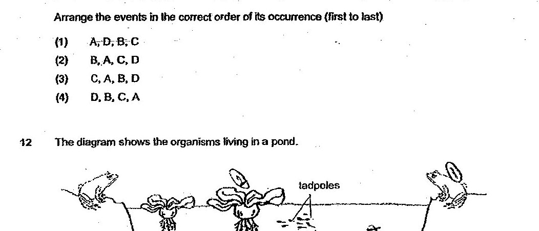 A table with 4 events:
Event A: The population size of the fish decreased.
Event B: Bacteria used the nutrients to reproduce faster.
Event C: The amount of oxygen in the river decreased.
Event D: The amount of nutrients increased.