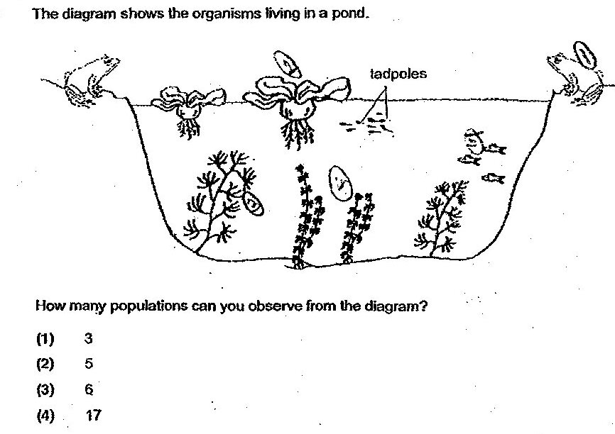 A pond ecosystem diagram showing various organisms: tadpoles, insects (appearing to be dragonflies or similar), plants at the bottom of the pond, and other aquatic life. The organisms are labeled with 'tadpoles' clearly marked. Various plant species and small aquatic animals are visible throughout the pond illustration.
