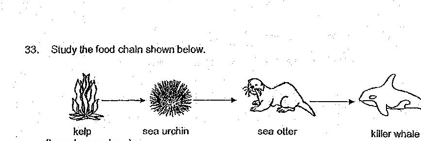 Diagram for question 33c
