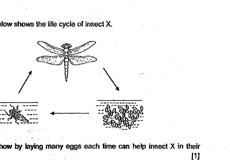 Diagram for question 31a