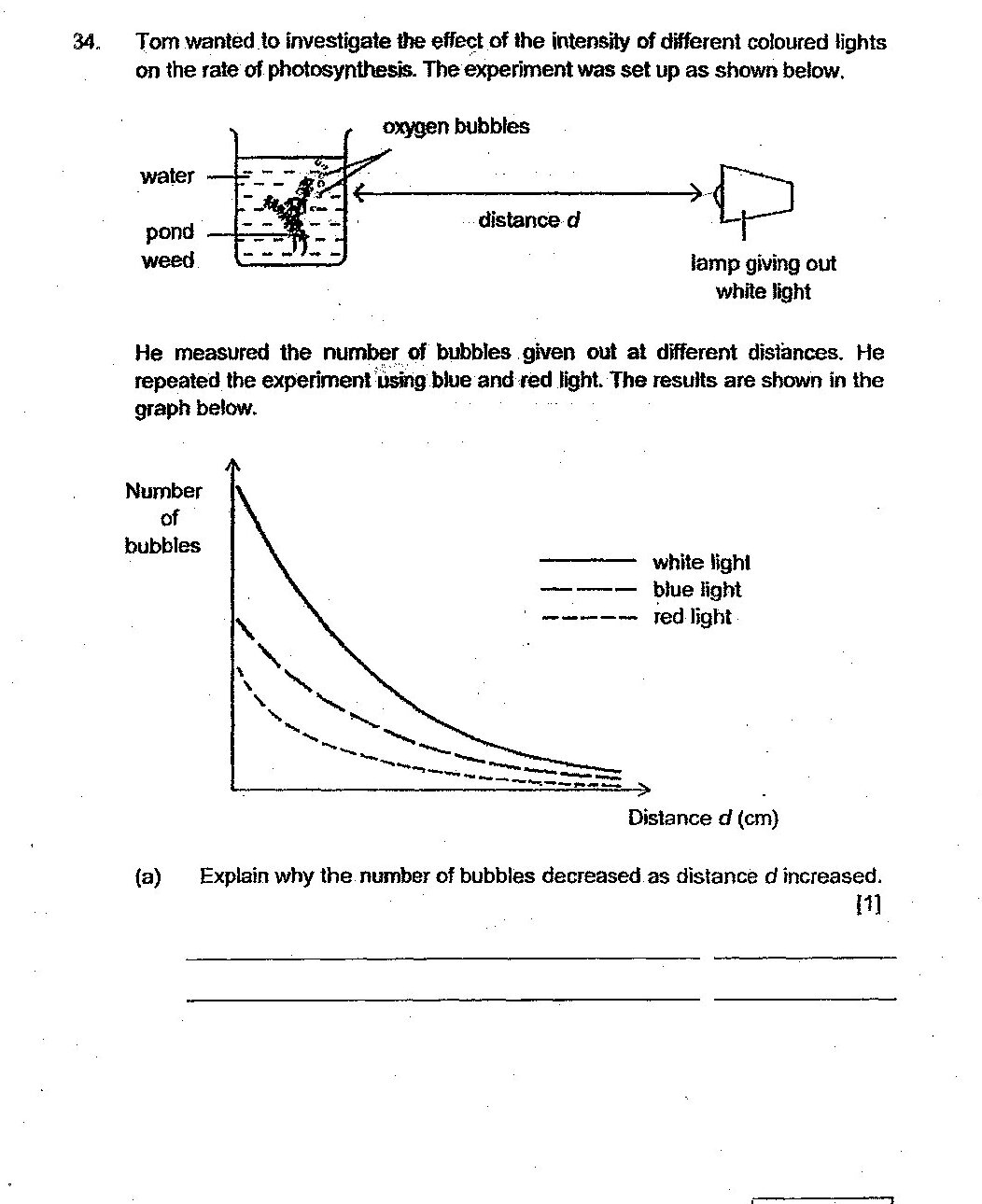 Experimental setup showing: a beaker containing water and pond weed, with oxygen bubbles being released from the weed. A lamp is positioned at distance d from the beaker, giving out white light. Below this is a line graph with "Number of bubbles" on the y-axis and "Distance d (cm)" on the x-axis. Three curves are shown in the legend: solid line for white light, dashed line for blue light, and dash-dot line for red light. All three curves show a decreasing trend as distance increases, with white light producing the most bubbles at any given distance, followed by blue light, then red light.