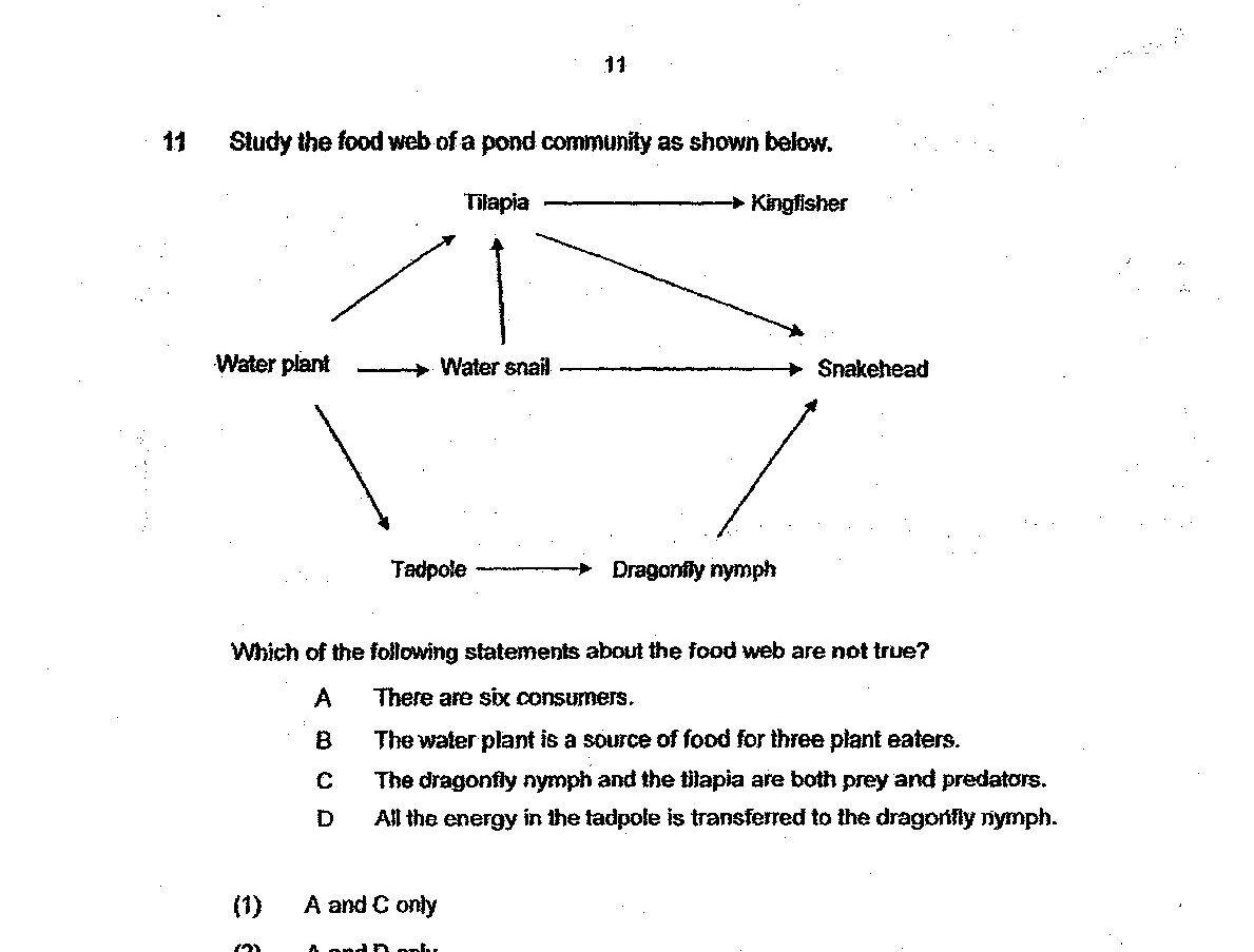 Diagram for question 11 (sub-question with answer choices)