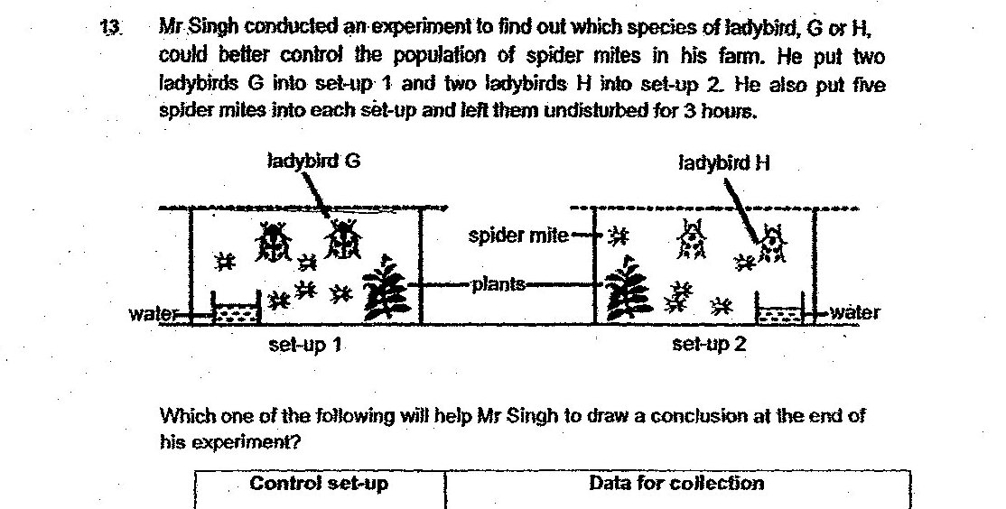 A diagram showing two experimental set-ups side by side. Set-up 1 contains water, 1 plant, 2 ladybirds G (labeled), and 5 spider mites (marked with asterisks). Set-up 2 contains water, 1 plant, 2 ladybirds H (labeled), and 5 spider mites (marked with asterisks). Both set-ups are enclosed containers with water at the base and plants in the middle.