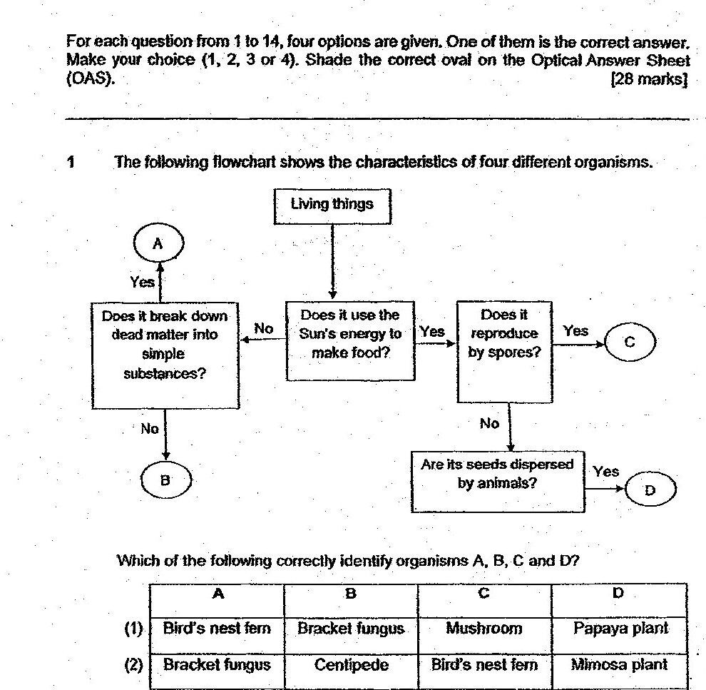 A flowchart starting with 'Living things' at the top. From this, there is a branch asking 'Does it break down dead matter into simple substances?' with 'Yes' leading to organism A. 'No' leads to 'Does it use the Sun's energy to make food?' If 'Yes', this leads to 'Does it reproduce by spores?' If 'Yes', this leads to organism C. If 'No', there is a question 'Are its seeds dispersed by animals?' with 'Yes' leading to organism D. The 'No' path from the first question leads to organism B.