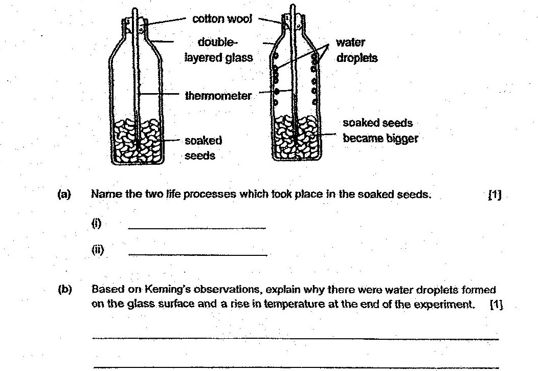 Two diagrams showing before and after experiment setup. Before experiment: glass container with double-layered glass, cotton wool at top, thermometer inserted, and soaked seeds at bottom. After experiment: same setup showing water droplets on glass surface and soaked seeds became bigger.