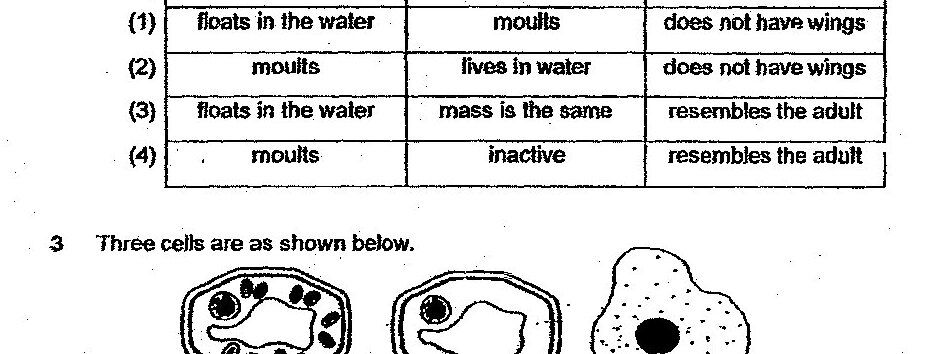 Three cell diagrams shown: Cell K (appears to be a plant cell with multiple organelles around the perimeter), Cell L (appears to be an animal cell with fewer organelles), and Cell M (appears to be a plant cell with dotted cytoplasm and a large central nucleus).