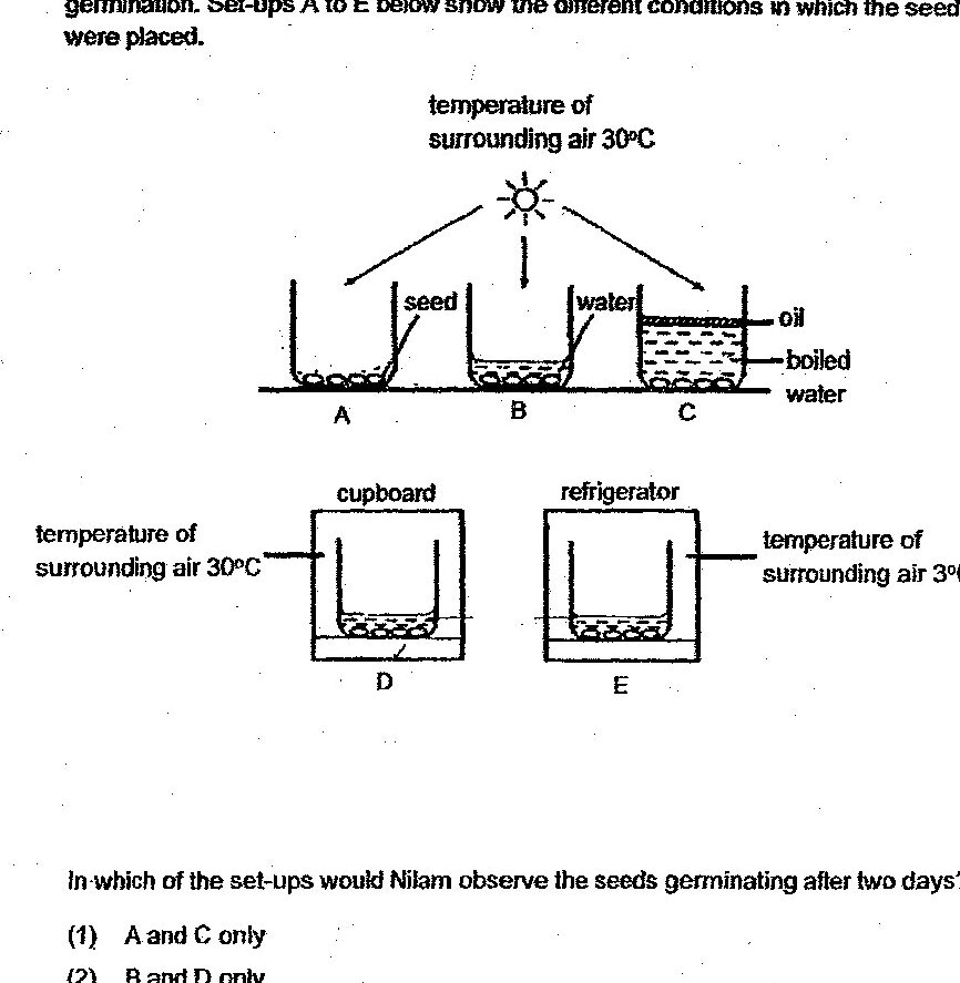 Five experimental set-ups (A to E) showing different conditions for seed germination:
- Set-up A: Dry soil with seed, no water, in sunlight at 30°C
- Set-up B: Moist soil with seed and water, in sunlight at 30°C
- Set-up C: Moist soil with seed, water covered with oil, in sunlight at 30°C
- Set-up D: Moist soil with seed in a cupboard (enclosed), at 30°C surrounding air temperature
- Set-up E: Moist soil with seed in a refrigerator, at 3°C surrounding air temperature