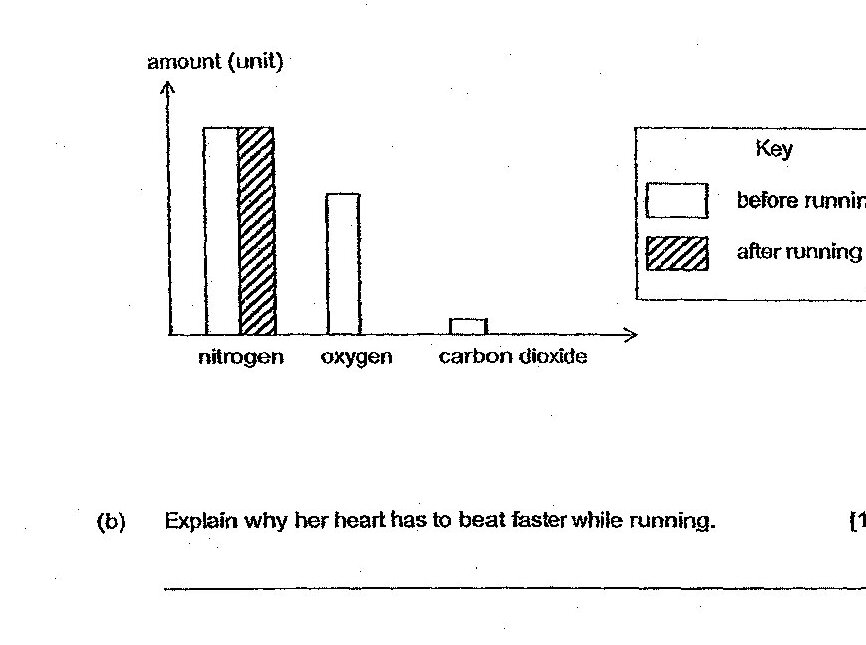 A partially completed bar graph with amount (unit) on the y-axis and three gas components on the x-axis: nitrogen, oxygen, and carbon dioxide. The graph shows a key indicating 'before running' (white/empty bars) and 'after running' (hatched/diagonal line bars). The nitrogen bars are already drawn showing: before running approximately 4 units (white bar) and after running approximately 4.5 units (hatched bar). The oxygen and carbon dioxide bars need to be completed by the student.