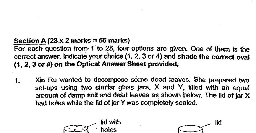 Two glass jars labeled X and Y. Jar X has a lid with holes and contains dead leaves and damp soil. Jar Y has a completely sealed lid and contains dead leaves and damp soil of equal amount to jar X.