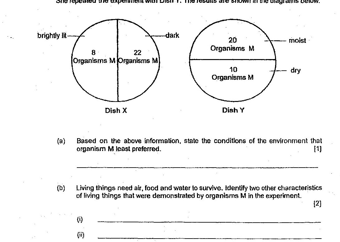 Diagram for question 29b