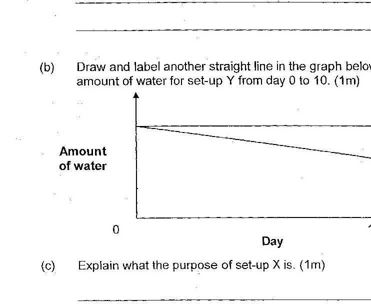 A graph with 'Amount of water' on the y-axis (ranging from 0) and 'Day' on the x-axis (ranging to 10). Two lines are already drawn: line X (horizontal, remaining constant) and line Z (diagonal, decreasing from day 0 to day 10).