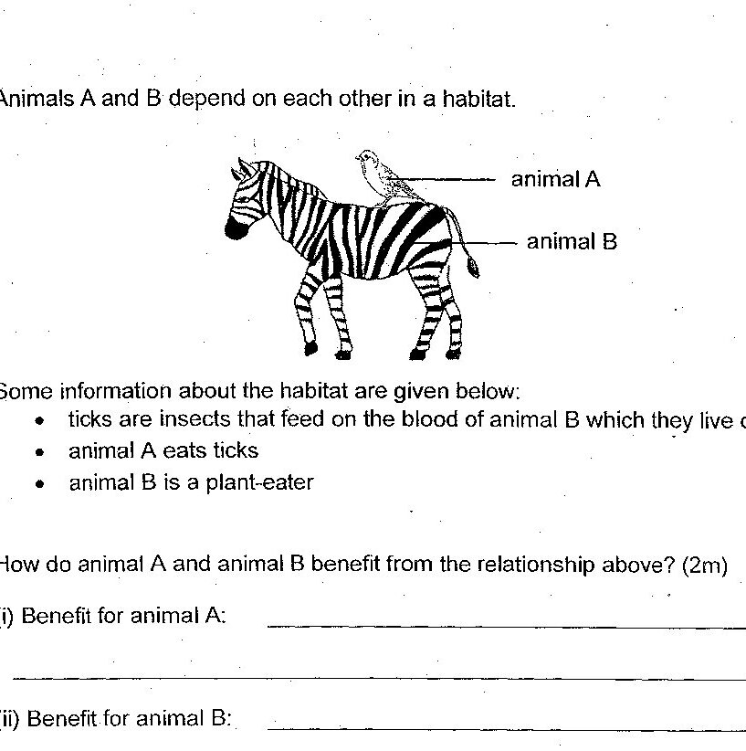 Diagram for question 32(a)(i)